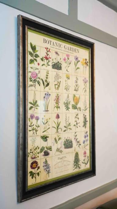Вілла *Stunning* The Botanist Rest Ventnor Iow Екстер'єр фото