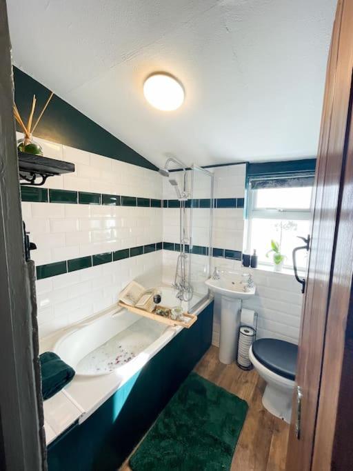 Вілла *Stunning* The Botanist Rest Ventnor Iow Екстер'єр фото