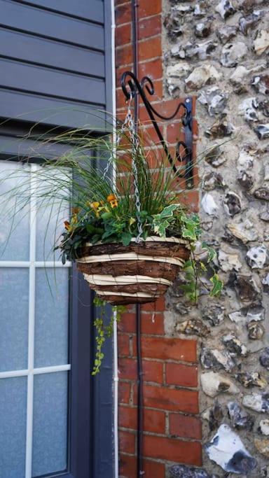 Вілла *Stunning* The Botanist Rest Ventnor Iow Екстер'єр фото